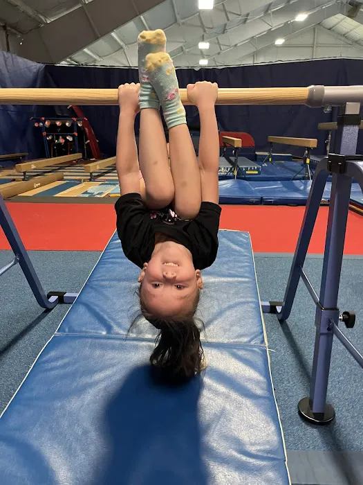 Head Over Heels Picture 4