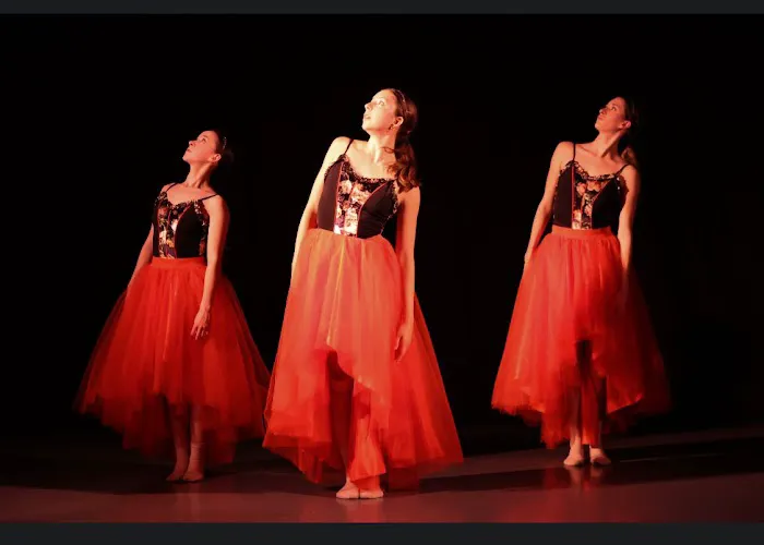 dèveloppè evolving dance education Picture 1