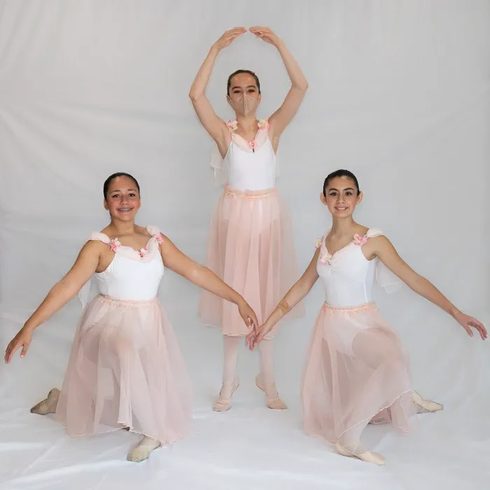 New England Ballet Picture 6