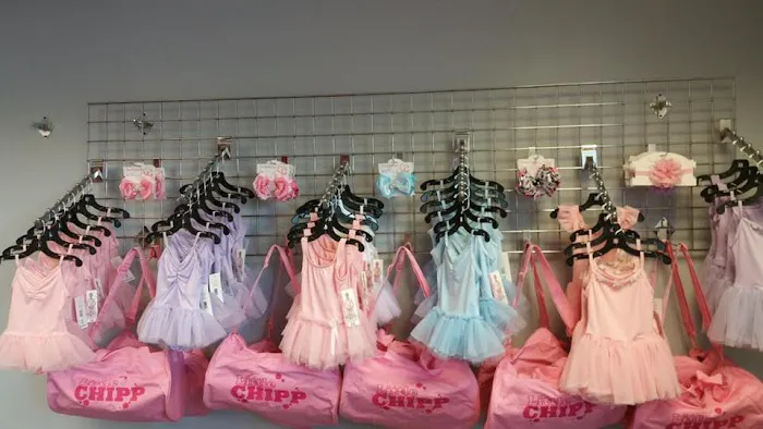 Nancy Chippendale's Dance Studios - Windham Picture 3