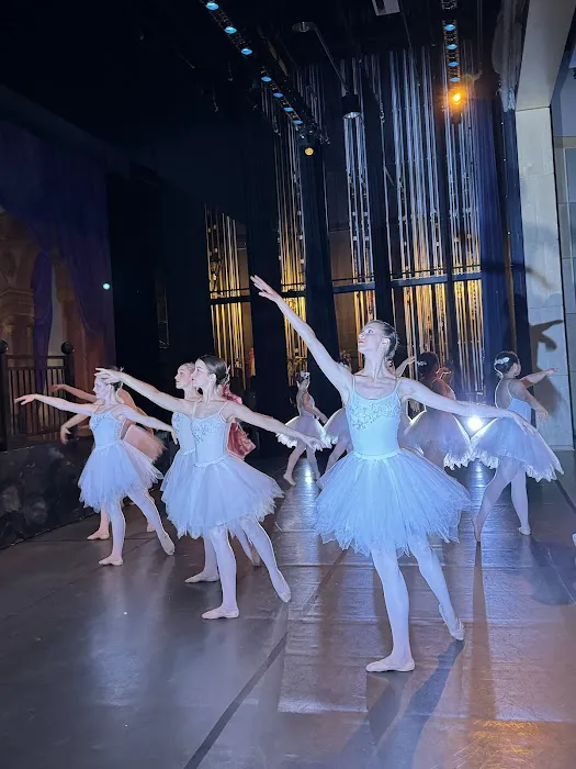 Metrowest Dance Academy Picture 6