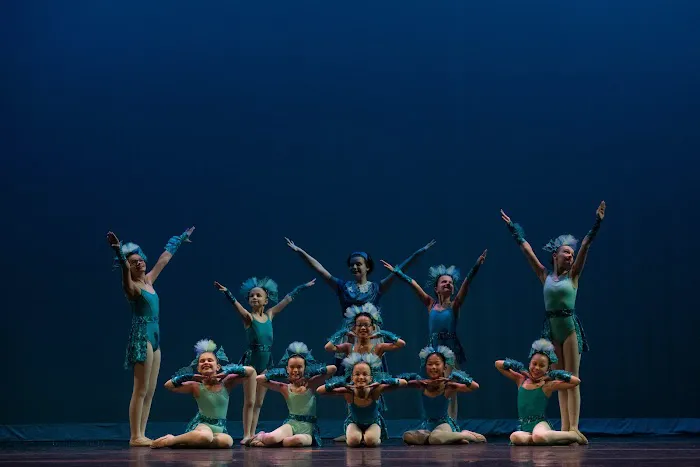 Metrowest Dance Academy Picture 7