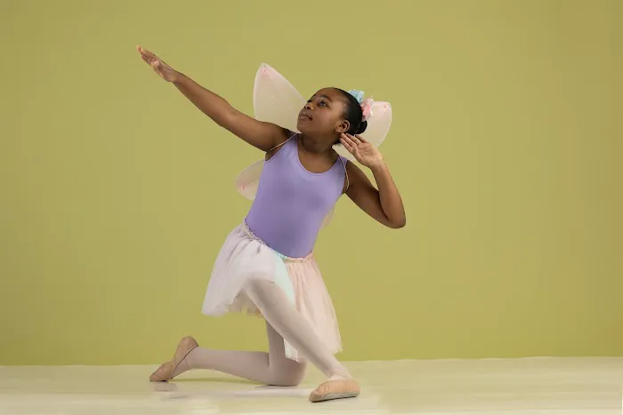 Metrowest Dance Academy Picture 10
