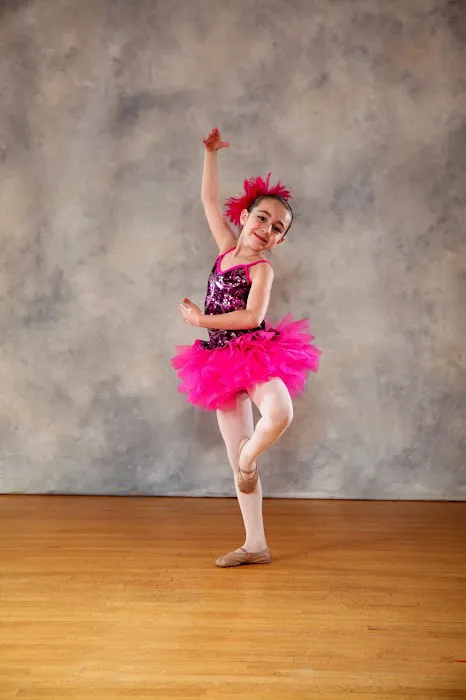 Voter's School of Dance Picture 1