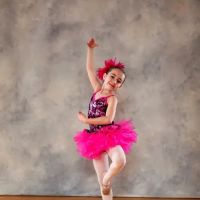 Voter's School of Dance ico