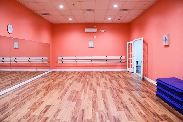 Above the Barre Dance & Fitness Picture 1