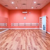 Above the Barre Dance & Fitness ico
