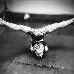 MOVE Makers 508