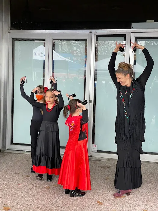 Flamenco 4 Kids! Picture 1