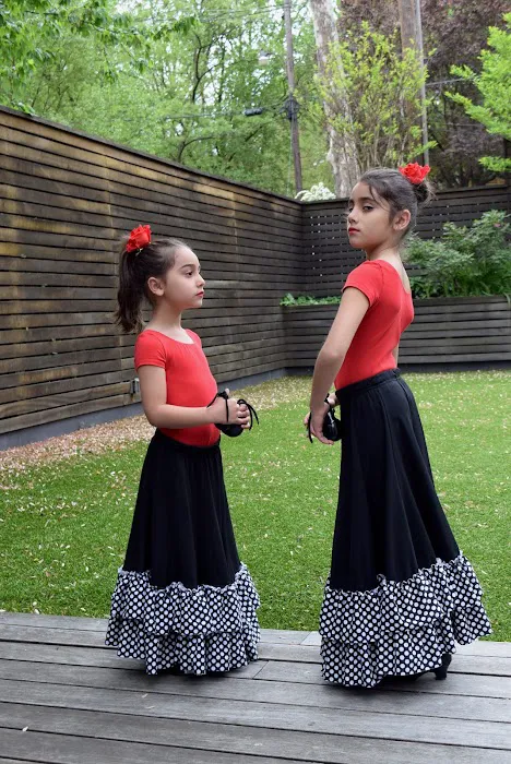 Flamenco 4 Kids! Picture 3