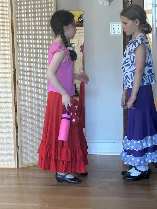 Flamenco 4 Kids! Picture 4