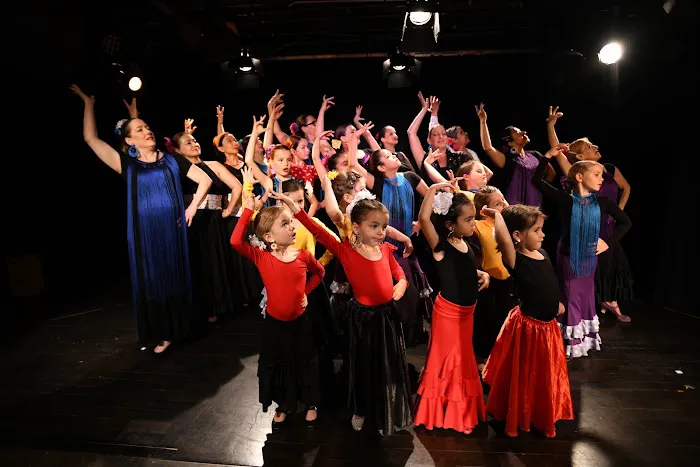 Dance Flamenco DC Picture 1
