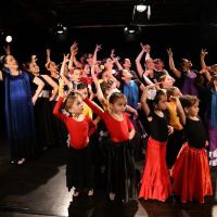 Dance Flamenco DC ico
