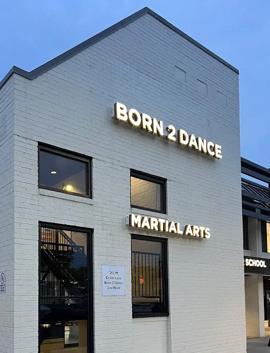 Born 2 Dance Studio - Vienna Picture 2
