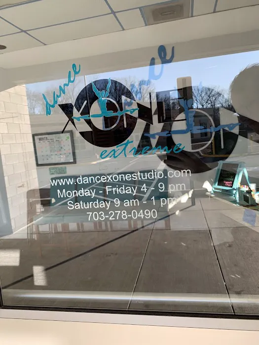 Dance Xone Extreme Picture 1