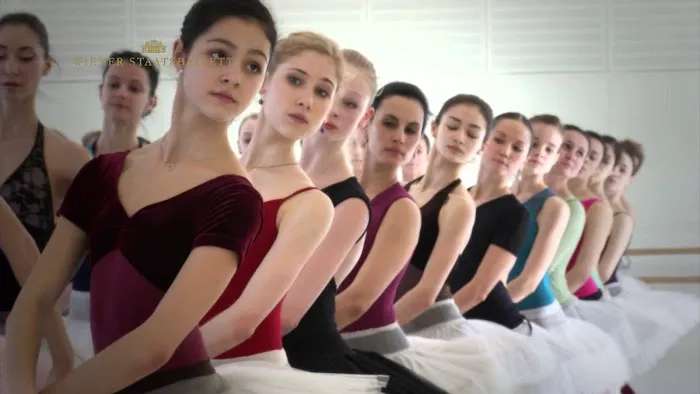Vienna Dance Academy Picture 1