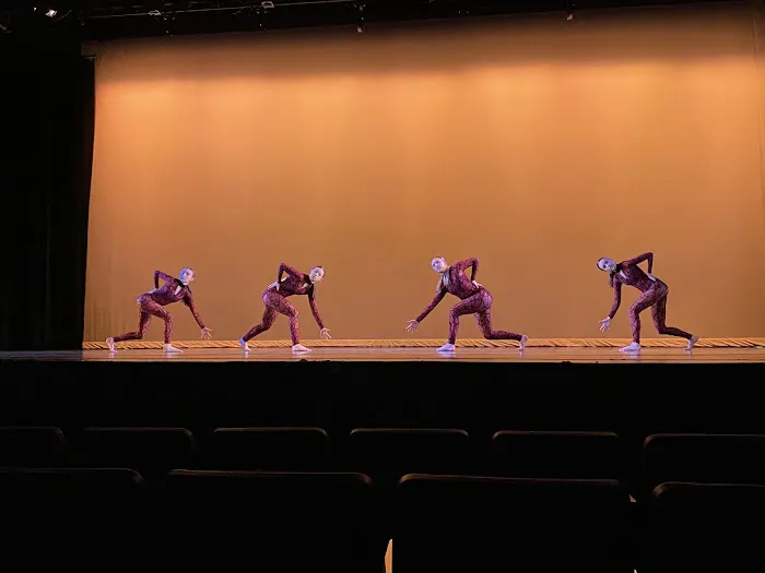 Legacy Dance Institute Picture 2