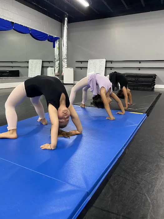 Legacy Dance Institute Picture 5