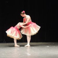 Rhythm and Arts Center of Virginia, LLC ico