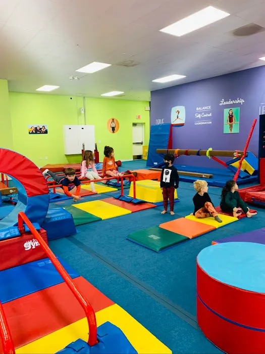 The Little Gym of Dulles Landing Picture 5