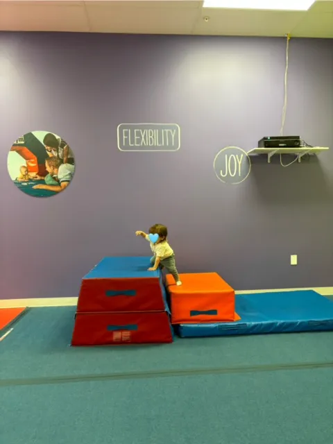 The Little Gym of Dulles Landing Picture 7