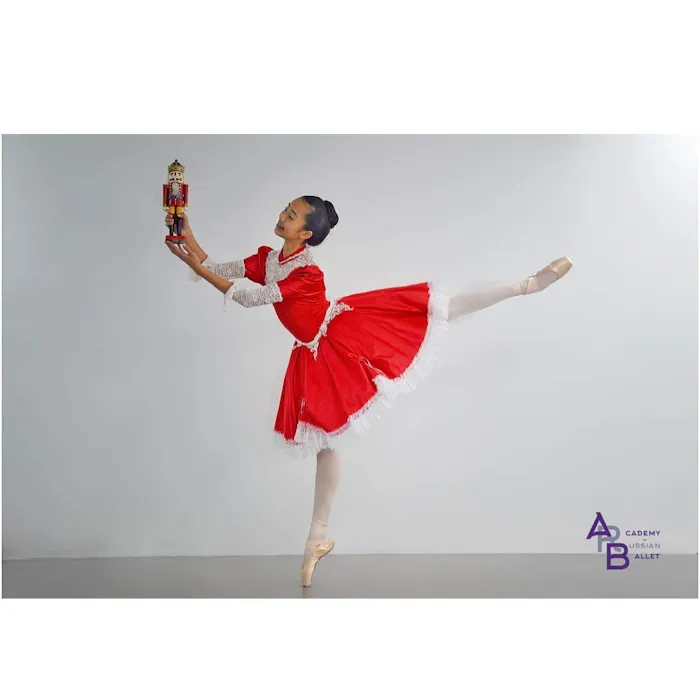 Academy Of Russian Ballet Picture 7