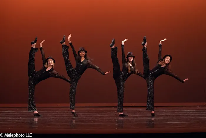 Virginia National Ballet Picture 3