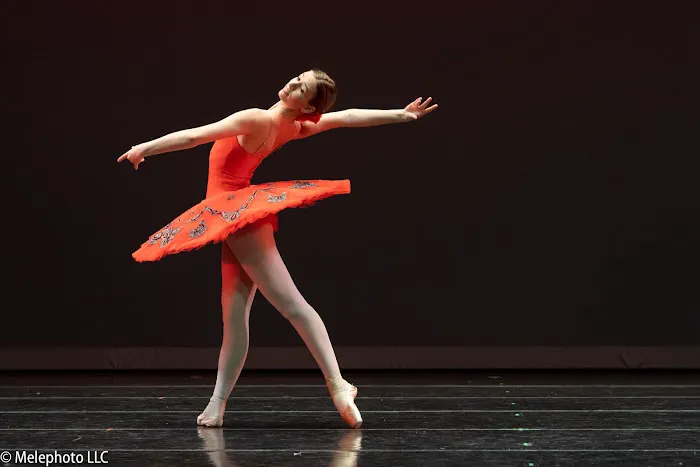 Virginia National Ballet Picture 1