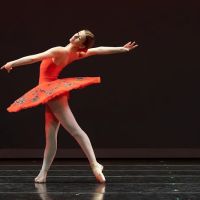 Virginia National Ballet ico