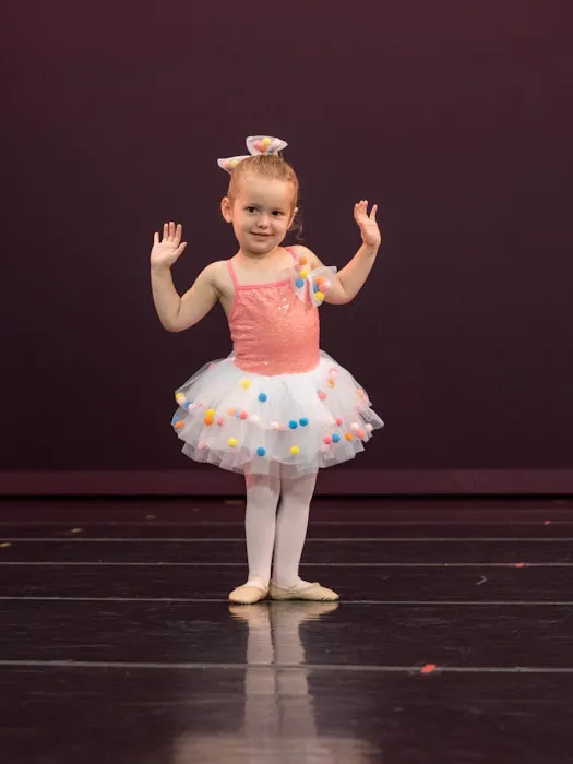 Virginia National Ballet Picture 7
