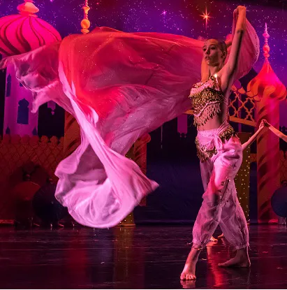 Virginia National Ballet Picture 5