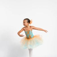 Lasley Centre for the Performing Arts ico