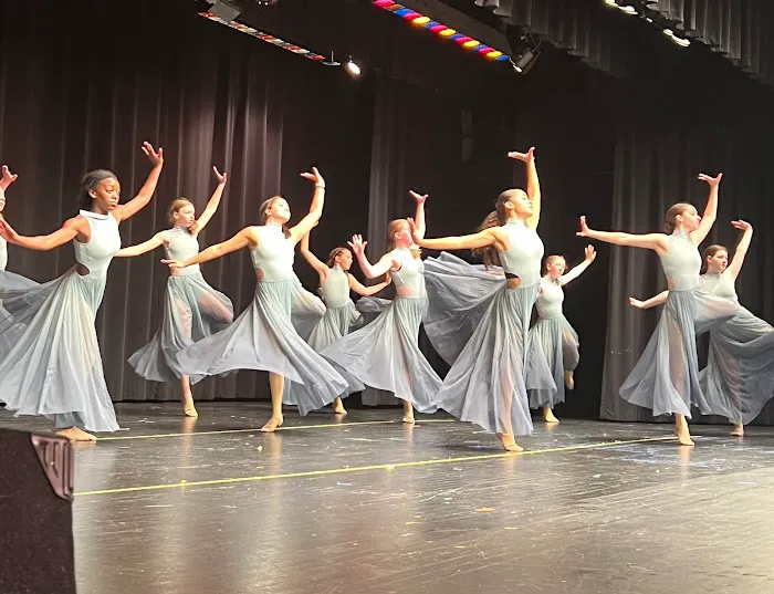 For A Dancer Inc Picture 4