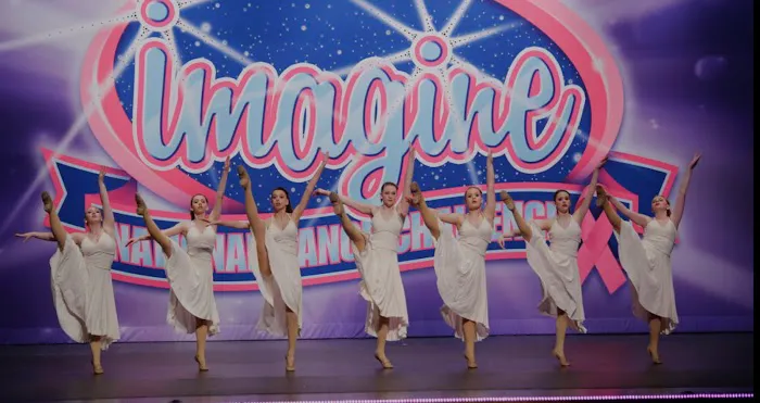 For A Dancer Inc Picture 7