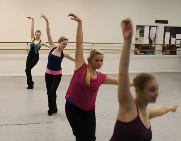 Northern Virginia Dance Academy Picture 4