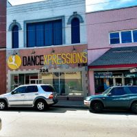 Dance Expressions by Erica ico