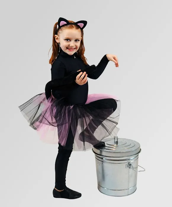 Andrea's Dance Academy Picture 1