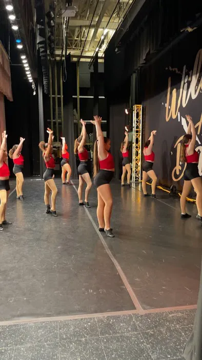 Andrea's Dance Academy Picture 4