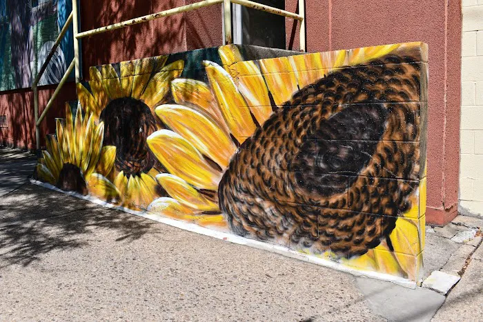 Sunflower Yoga & Fitness Center Picture 3