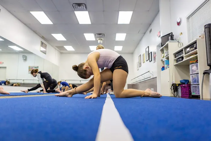 SheLor School of Dance Picture 5