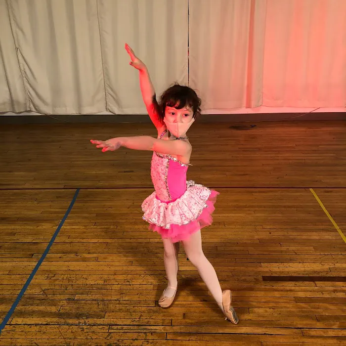 Art In Motion Pittsburgh Dance Studio Picture 5