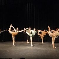 All About Dance Studio ico