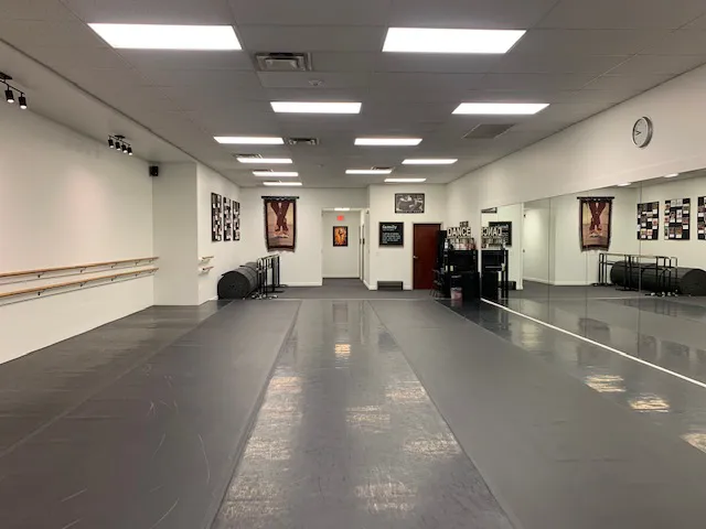 Steel City Academy of Dance Picture 1
