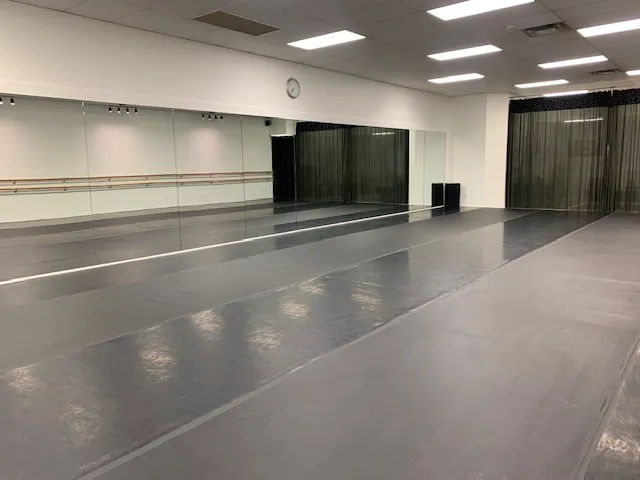 Steel City Academy of Dance Picture 7