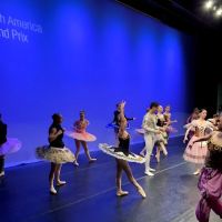 Allegro Ballet Academy ico
