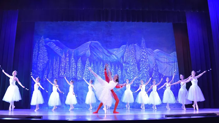 Allegro Ballet Academy Picture 3