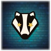 Soulshine Performing Arts Collective Experience co ico