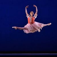 Pittsburgh Ballet House ico