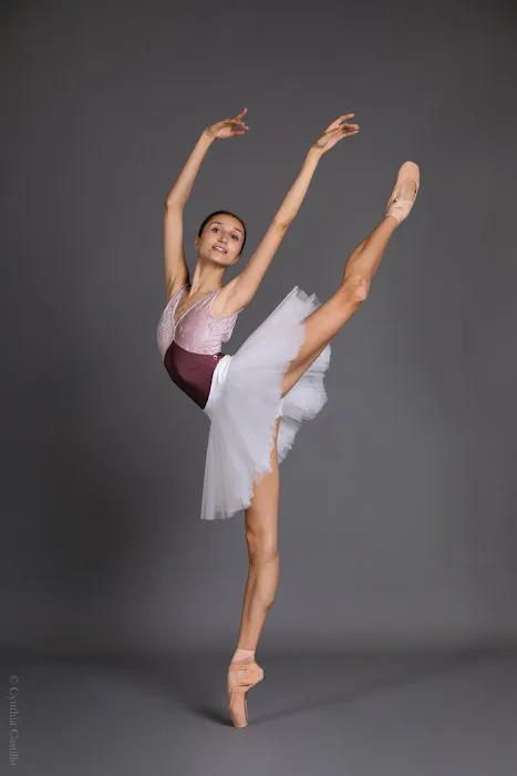 Pittsburgh Ballet House Picture 4