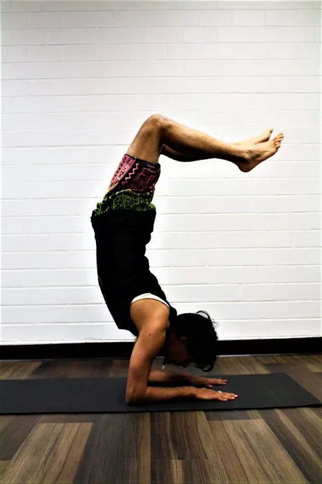 Kinetic Connection - Yoga & Dance Picture 2